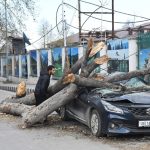 Fierce Overnight Gale Wreaks Havoc Across Kashmir, Causes Power Outages and Flight Cancellations