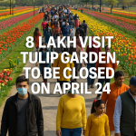 A Heartfelt Goodbye to the Blossoms Over 8 Lakh Visitors Bid Farewell as Srinagar’s Tulip Garden Closes on April 24
