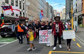 New Zealand Defers Vote on Suspending Māori MPs Over Haka Protest