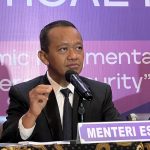 Indonesia’s First Nuclear Power Plant by 2034: A Bold Step Toward a Greener Future
