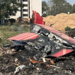 Air India Tragedy: Investigators Eye Bird Strike as Possible Cause Amid Grief and Questions