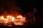 France Battles Its Largest Wildfire in Decades—A Nation Stands in Solidarity