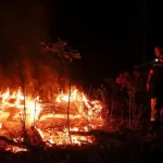 France Battles Its Largest Wildfire in Decades—A Nation Stands in Solidarity