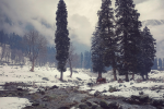 Fresh Snowfall Graces Parts of Kashmir, Overcast Skies Bring Brief Relief From Cold Wave