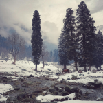 Fresh Snowfall Graces Parts of Kashmir, Overcast Skies Bring Brief Relief From Cold Wave