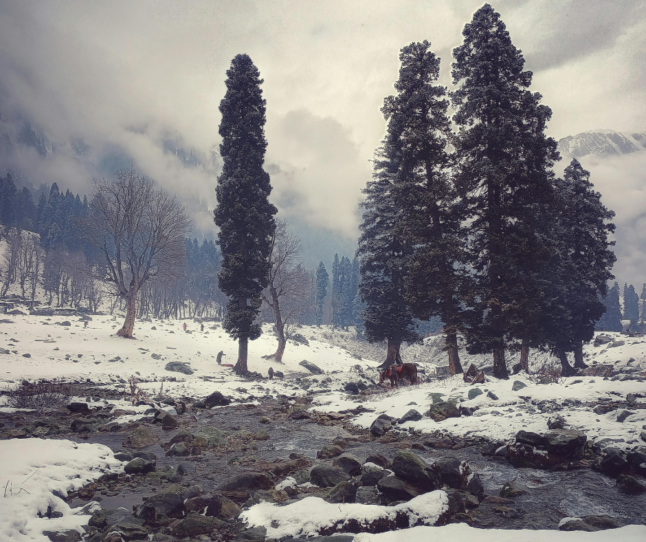 Fresh Snowfall Graces Parts of Kashmir, Overcast Skies Bring Brief Relief From Cold Wave