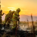 Bushfires Ravage Southeast Australia as First Life Is Lost and Hundreds of Buildings Turn to Ash