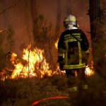France and Spain Face Historic Wildfire Emergency as Relentless Heatwave Intensifies the Crisis