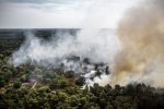 Forest fire grows rapidly in Dutch nature reserve as firefighters battle to stop the flames