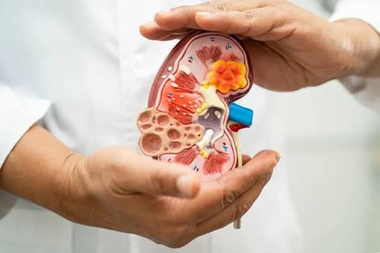Parliament Panel Calls For Mandatory Kidney Tests From Age 20 A Major Push For Early Detection And Prevention
